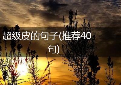 超级皮的句子(推荐40句)