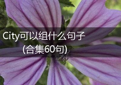 City可以组什么句子(合集60句)