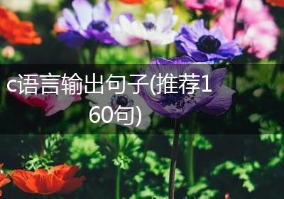 c语言输出句子(推荐160句)