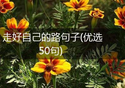 走好自己的路句子(优选50句)