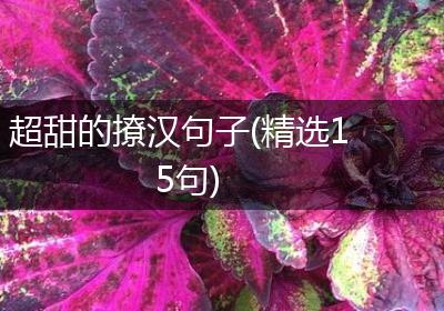 超甜的撩汉句子(精选15句)
