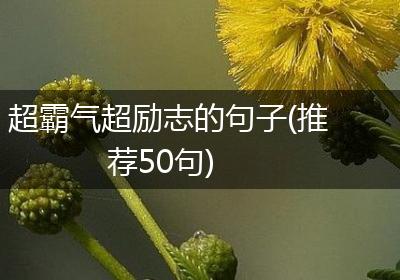 超霸气超励志的句子(推荐50句)