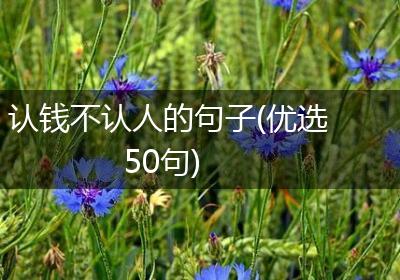 认钱不认人的句子(优选50句)