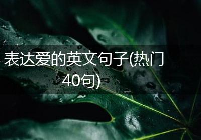 表达爱的英文句子(热门40句)