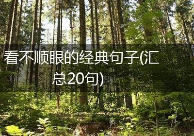 看不顺眼的经典句子(汇总20句)