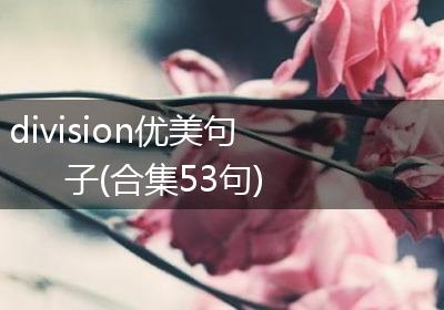 division优美句子(合集53句)