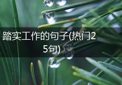 踏实工作的句子(热门25句)