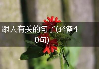 跟人有关的句子(必备40句)