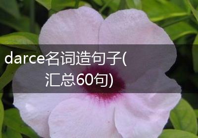 darce名词造句子(汇总60句)