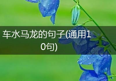 车水马龙的句子(通用10句)