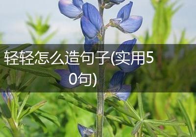 轻轻怎么造句子(实用50句)