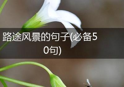 路途风景的句子(必备50句)