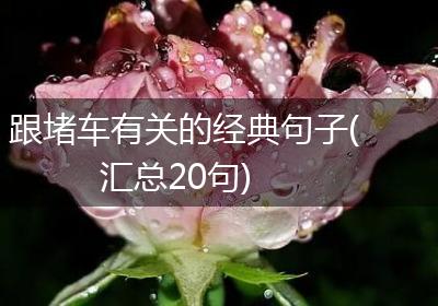 跟堵车有关的经典句子(汇总20句)