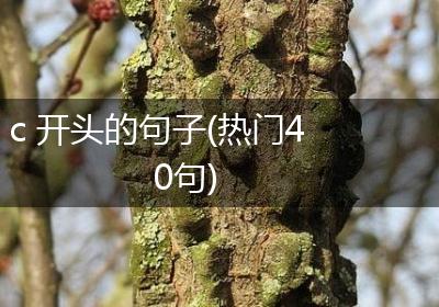 c 开头的句子(热门40句)