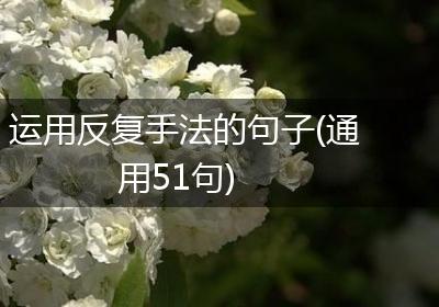 运用反复手法的句子(通用51句)