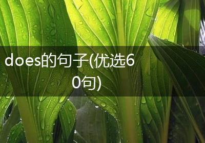 does的句子(优选60句)