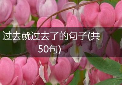 过去就过去了的句子(共50句)