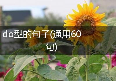 do型的句子(通用60句)