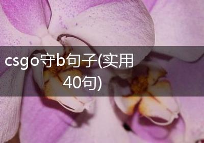 csgo守b句子(实用40句)