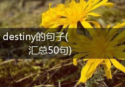 destiny的句子(汇总50句)