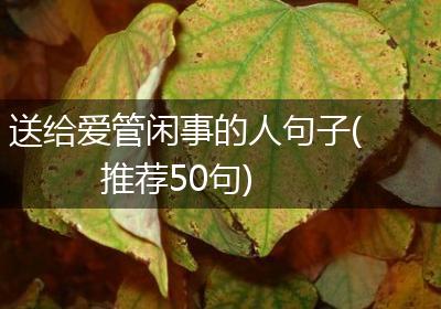 送给爱管闲事的人句子(推荐50句)