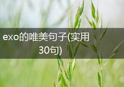 exo的唯美句子(实用30句)