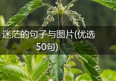 迷茫的句子与图片(优选50句)