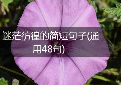 迷茫彷徨的简短句子(通用48句)