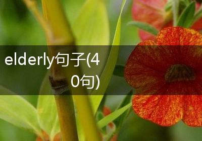 elderly句子(40句)