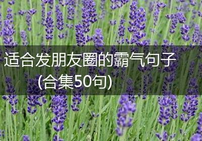 适合发朋友圈的霸气句子(合集50句)
