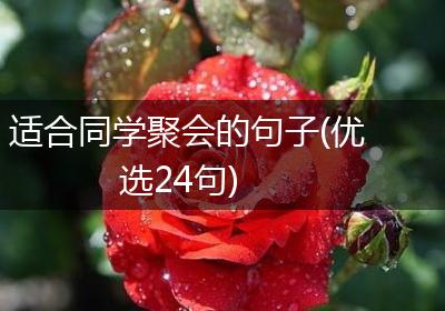适合同学聚会的句子(优选24句)
