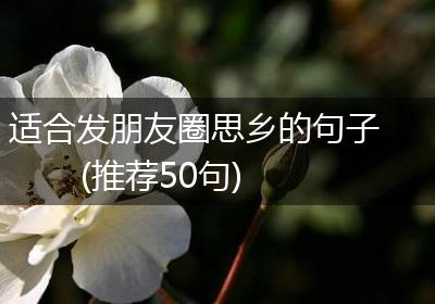 适合发朋友圈思乡的句子(推荐50句)