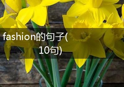 fashion的句子(10句)
