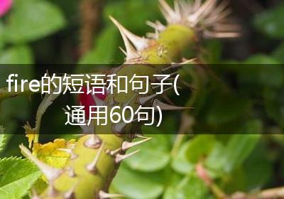 fire的短语和句子(通用60句)
