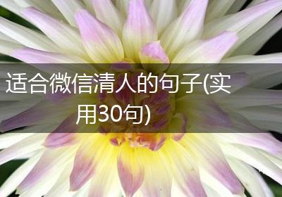 适合微信清人的句子(实用30句)
