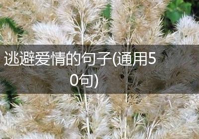 逃避爱情的句子(通用50句)