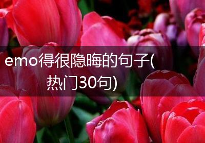 emo得很隐晦的句子(热门30句)