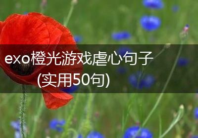 exo橙光游戏虐心句子(实用50句)