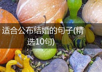 适合公布结婚的句子(精选10句)