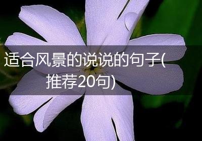 适合风景的说说的句子(推荐20句)