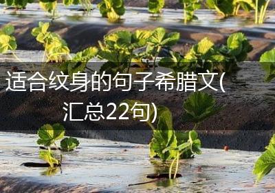适合纹身的句子希腊文(汇总22句)