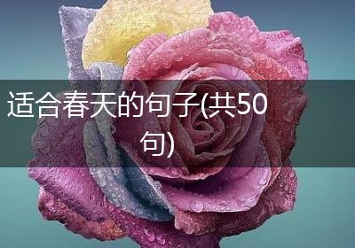 适合春天的句子(共50句)