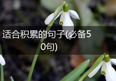 适合积累的句子(必备50句)