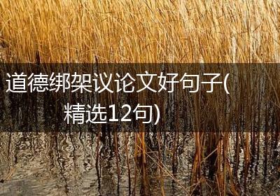 道德绑架议论文好句子(精选12句)