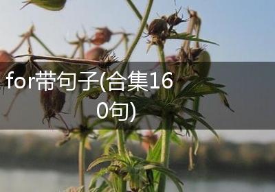 for带句子(合集160句)
