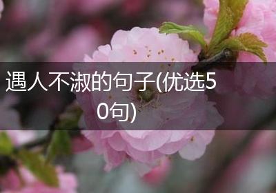 遇人不淑的句子(优选50句)
