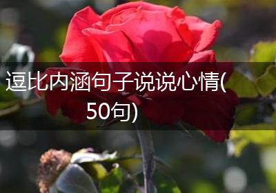 逗比内涵句子说说心情(50句)