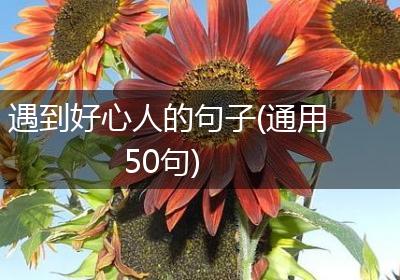 遇到好心人的句子(通用50句)