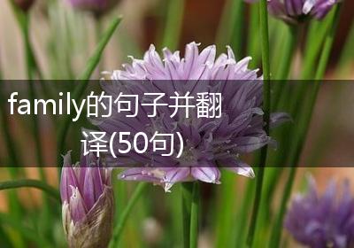 family的句子并翻译(50句)