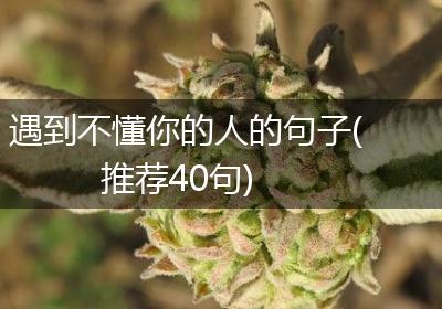 遇到不懂你的人的句子(推荐40句)